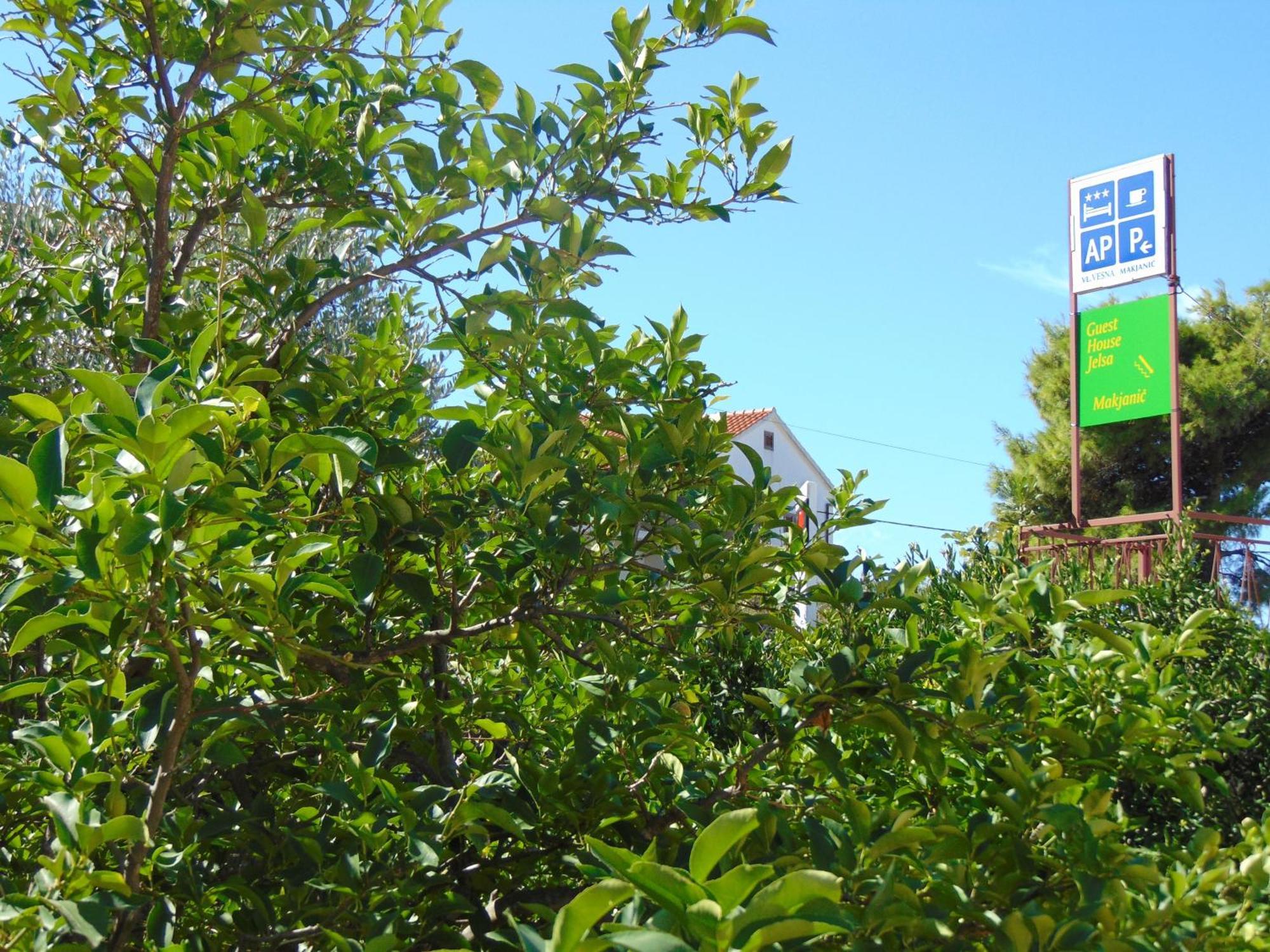 Guest House Jelsa Йелса Стая снимка